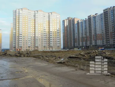 Дольщикам ЖК «Новая Каменка» пообещали, что стройка пойдет в две смены
