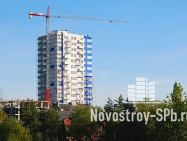 В Петербурге на продажу выставлено 100 га земли