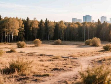 В Ленобласти выставили на торги 15,2 га земли под жилую застройку