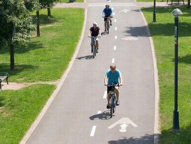 К 2029 году протяженность велодорожек Петербурга вырастет на 20%