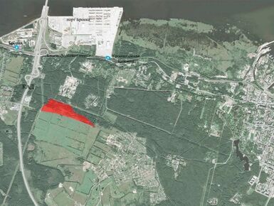 В Ломоносове выставили на продажу более 22 га земли под жилую застройку