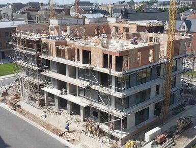 В 2025 году в пригороде Петербурга ввели рекордное количество малоэтажного жилья