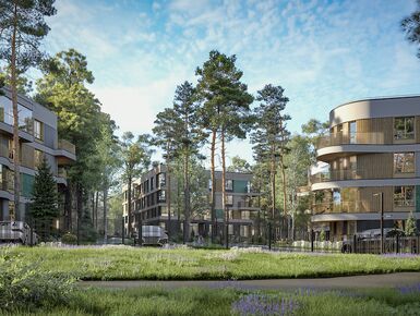 RBI построит гостиничный комплекс в Курортном районе