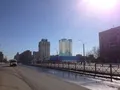 Дом на пр-те Просвещения, 85.