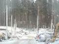 Юкки – это поселок, располагающийся во Всеволожском районе, практически на границе с Санкт-Петербургом