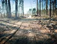 Дорога к корпусам 2й очереди со стороны корпусов 1й очереди застройки. Май 2013 года.