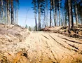 Дорога к корпусам 2й очереди со стороны корпусов 1й очереди застройки. Май 2013 года.