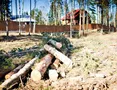 Площадка под 2ю очередь Черничной Поляны, завершена вырубка леса. Май 2013 года.