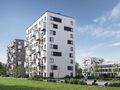 Территория комплекса благоустроена элементами ландшафтного дизайна.