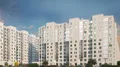 Все лоджии и балконы в комплексе - остеклены.