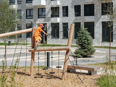 Янинский лес