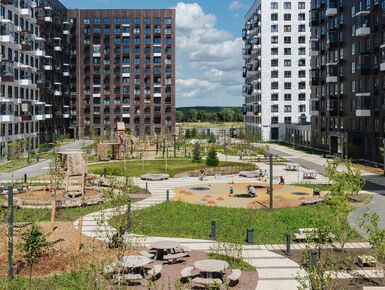 Янинский лес