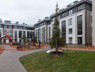 ЖК «Дворцовый фасад»