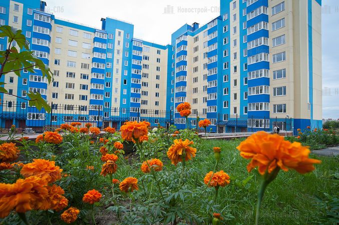 ЖК «Колтуши 5+»