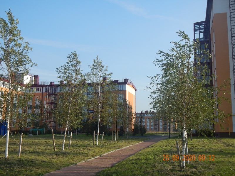 Сентябрь 2020