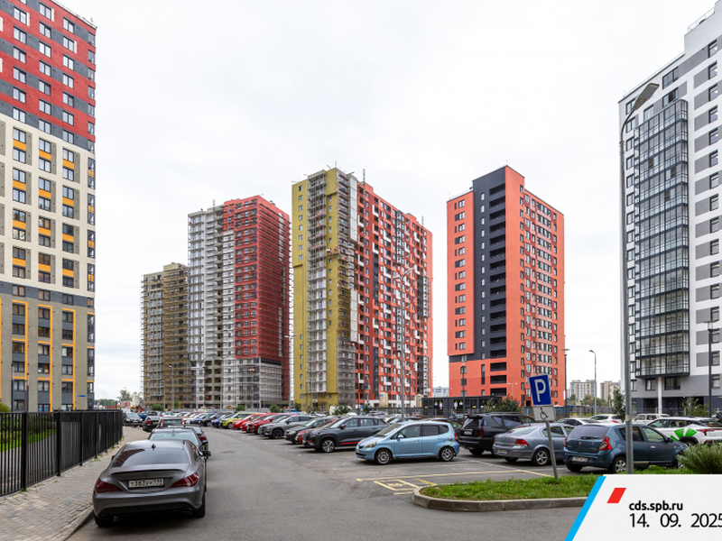 Сентябрь 2025