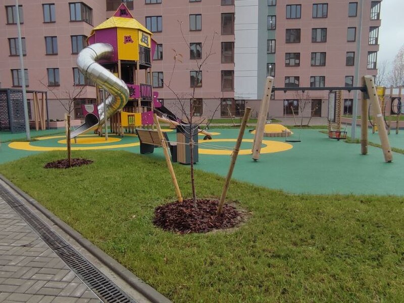 Сентябрь 2025