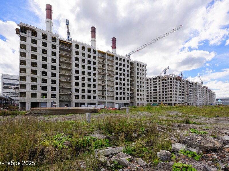 Сентябрь 2025