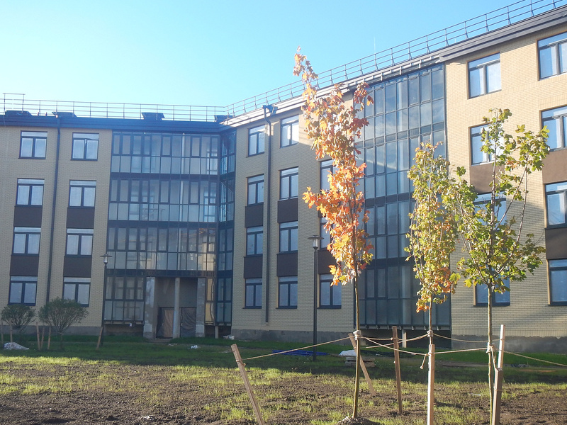 Сентябрь 2025