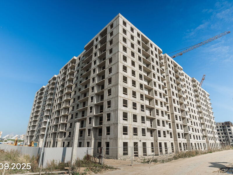 Сентябрь 2025