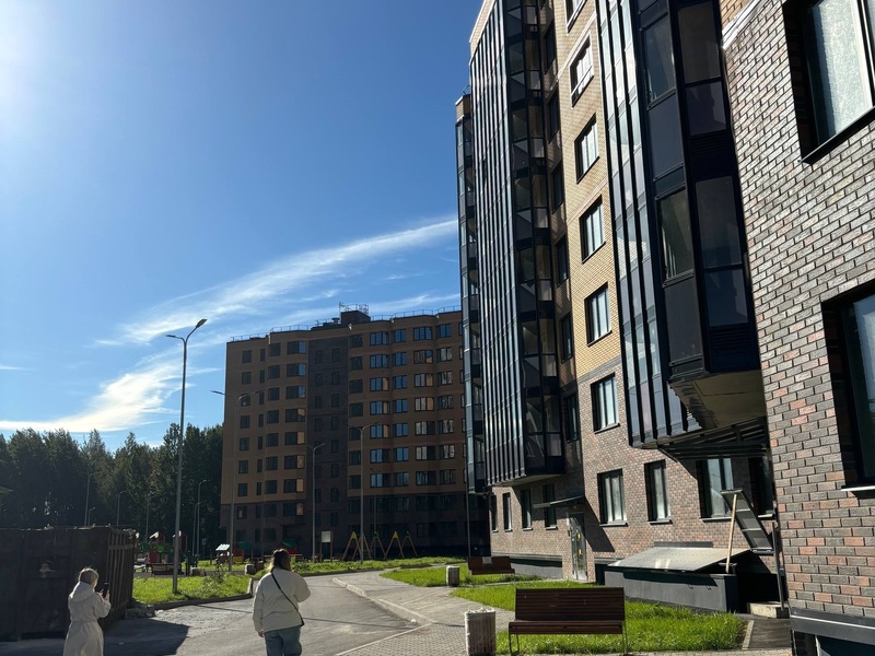 Сентябрь 2025