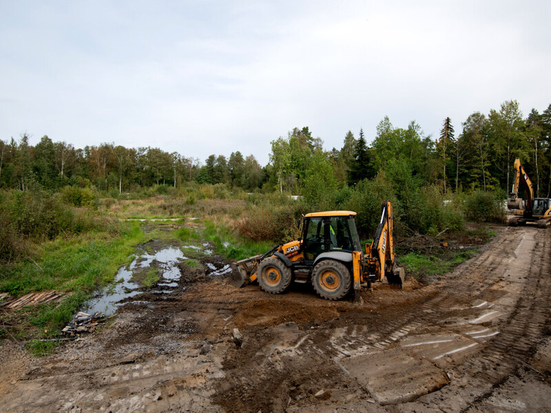 Сентябрь 2025