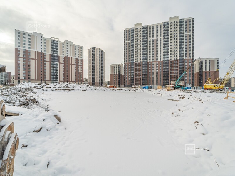 Февраль 2025