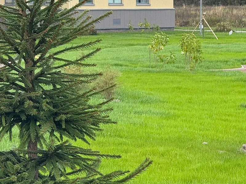 Сентябрь 2025