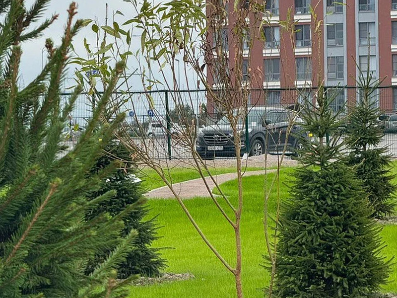 Сентябрь 2025