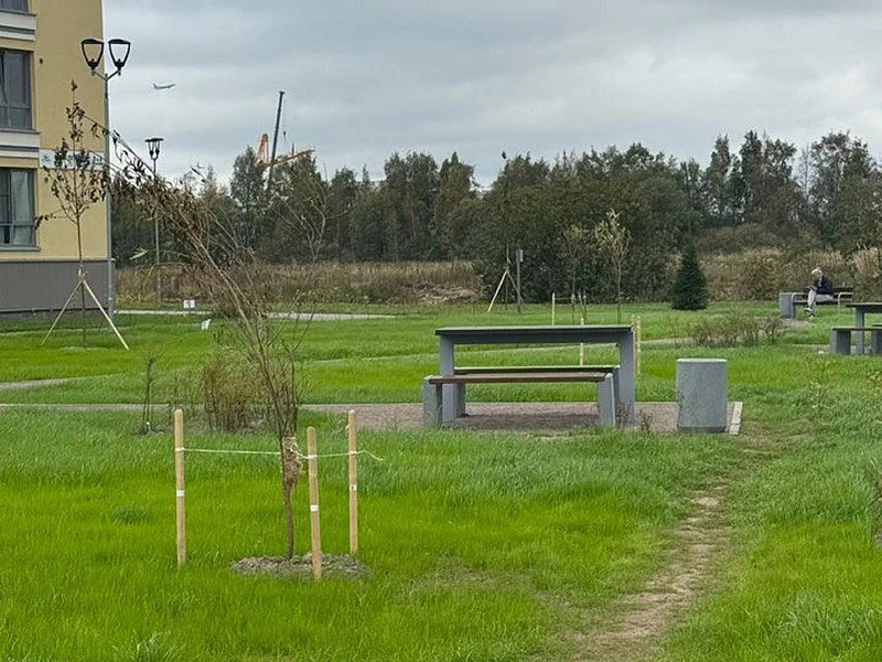 Сентябрь 2025